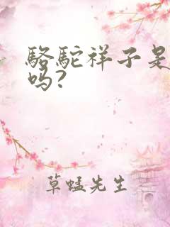 骆驼祥子是小说吗?