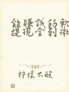 能赚钱的软件可提现金到微信上
