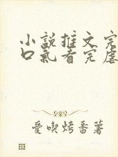 小说推文完结一口气看完虐文