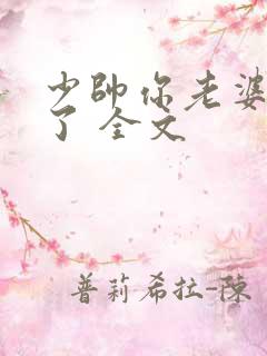 少帅你老婆又跑了 全文