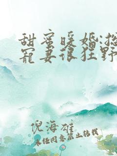 甜蜜暖婚:总裁宠妻很狂野