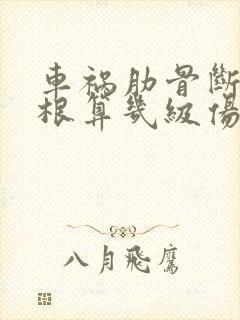 车祸肋骨断了8根算几级伤残