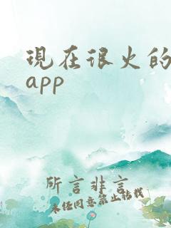 现在很火的社交app