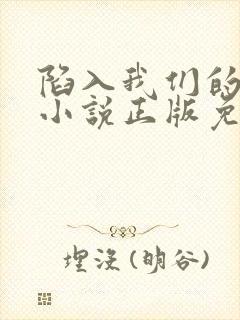 陷入我们的热恋小说正版免费阅读