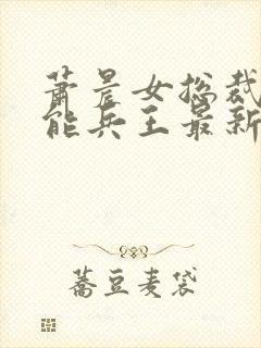 萧晨女总裁的全能兵王最新