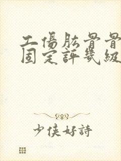 工伤肱骨骨折内固定评几级