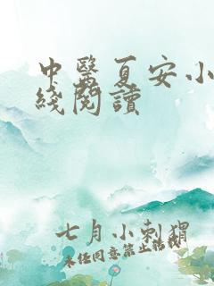 中医夏安小说在线阅读