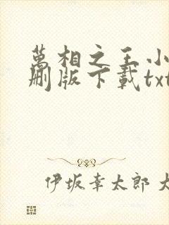 万相之王小说未删版下载txt