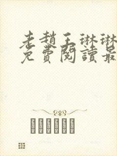 老赵王琳琳全文免费阅读最新章节