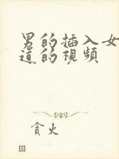 男的插入女的阴道的视频