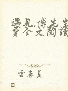 遇见,傅先生免费全文阅读