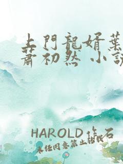 上门龙婿叶辰,萧初然 小说