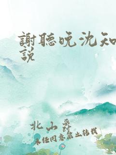 谢听晚沈知聿小说