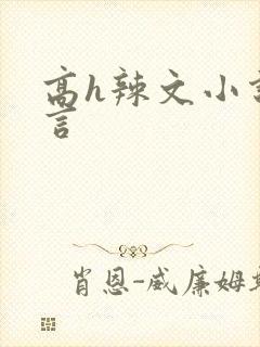 高h辣文小说古言