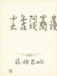 少年阿宾房东太太在线阅读