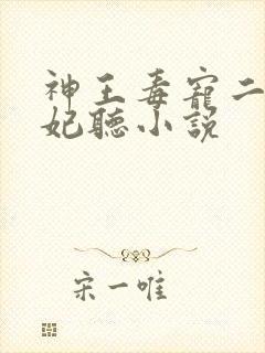 神王毒宠二嫁王妃听小说