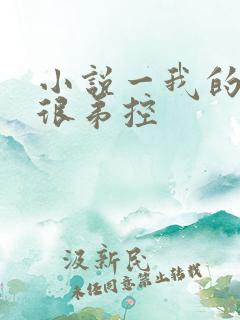 小说一我的姐姐很弟控