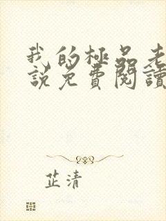 我的极品老婆小说免费阅读全文