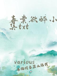 春棠欲醉小说全集txt