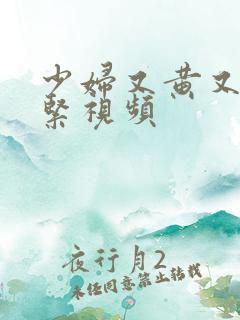 少妇又黄又骚又紧视频