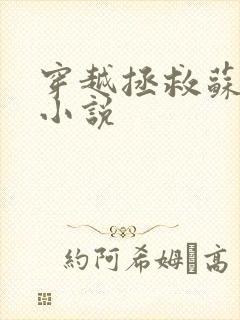 穿越拯救苏联的小说