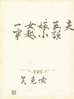 一女嫁五夫姓苏穿越小说