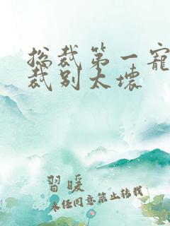 总裁第一宠婚总裁别太坏