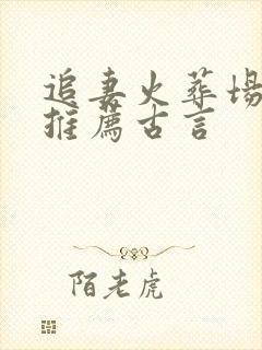 追妻火葬场小说推荐古言