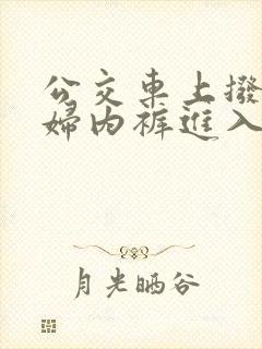 公交车上拨开少妇内裤进入小说