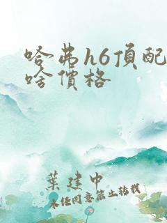 哈弗h6顶配版啥价格