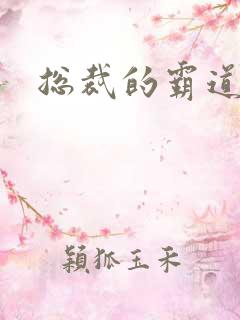 总裁的霸道宠妻