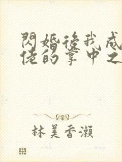 闪婚后我成了大佬的掌中之物全集