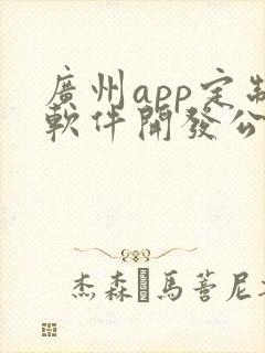 广州app定制软件开发公司