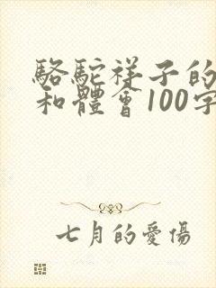 骆驼祥子的感悟和体会100字