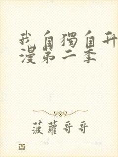 我自独自升级动漫第二季