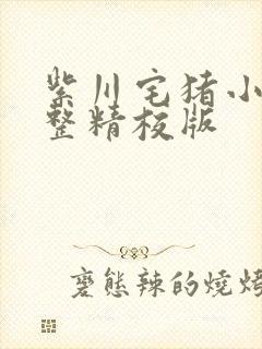 紫川宅猪小说完整精校版