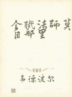 全职法师莫凡来自哪里