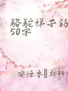 骆驼祥子的简介50字