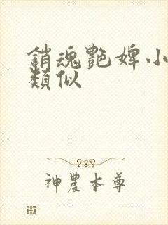 销魂艳婢小说相类似