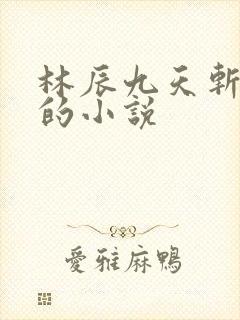 林辰九天斩神诀的小说