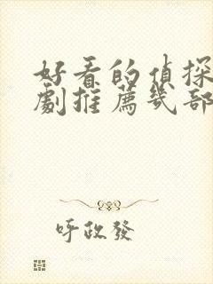 好看的侦探电视剧推荐几部