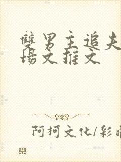 双男主追夫火葬场文推文