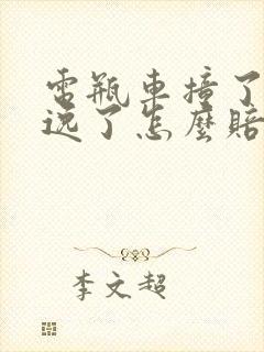 电瓶车撞了人逃逸了怎么赔偿