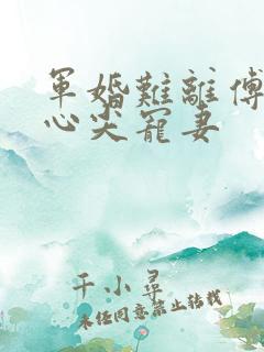 军婚难离傅少的心尖宠妻