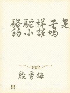 骆驼祥子是老舍的小说吗