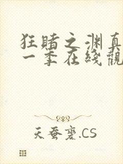 狂赌之渊真人第一季在线观看