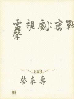 电视剧:密战无声