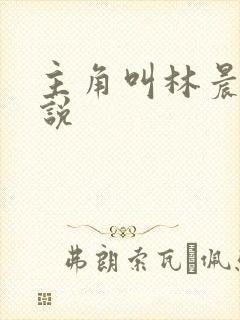 主角叫林晨的小说