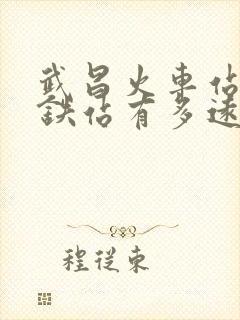 武昌火车站离高铁站有多远