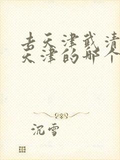 去天津武清区是天津的哪个高铁站